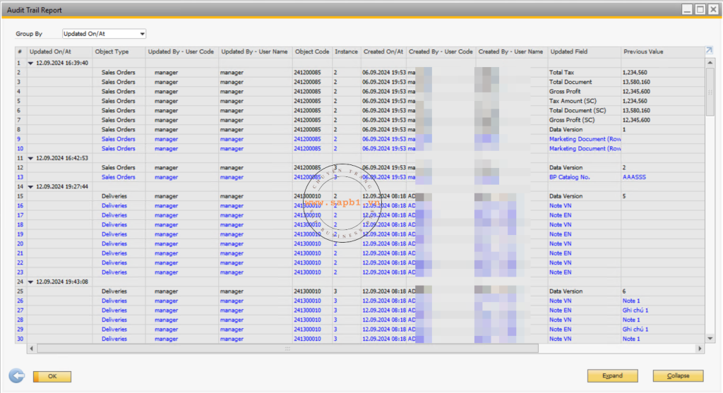 Audit Trail Report Result